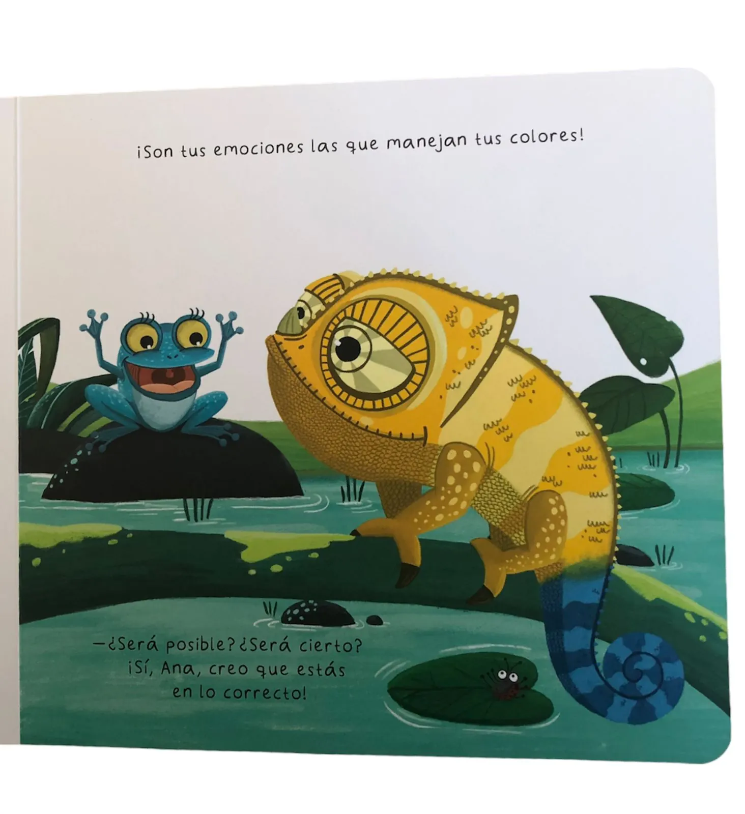 Libro ¿Qué le pasa a Gastón?