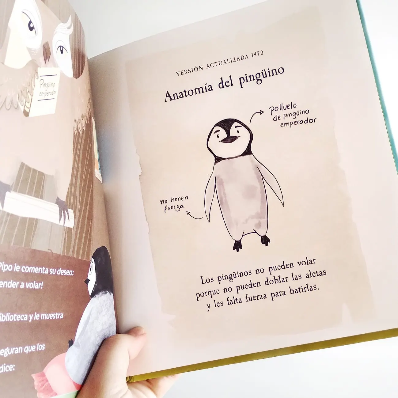 Libro "La gran idea de Pipo" - Imagen 3