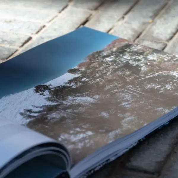 Libro «Cumbres de Chile: Araucanía andina norte»