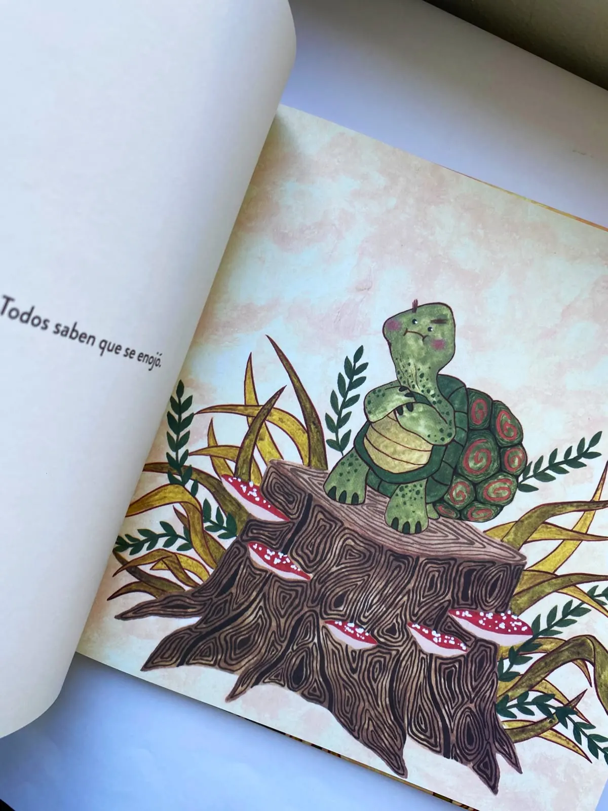 El enojo de Tortuga - Imagen 3