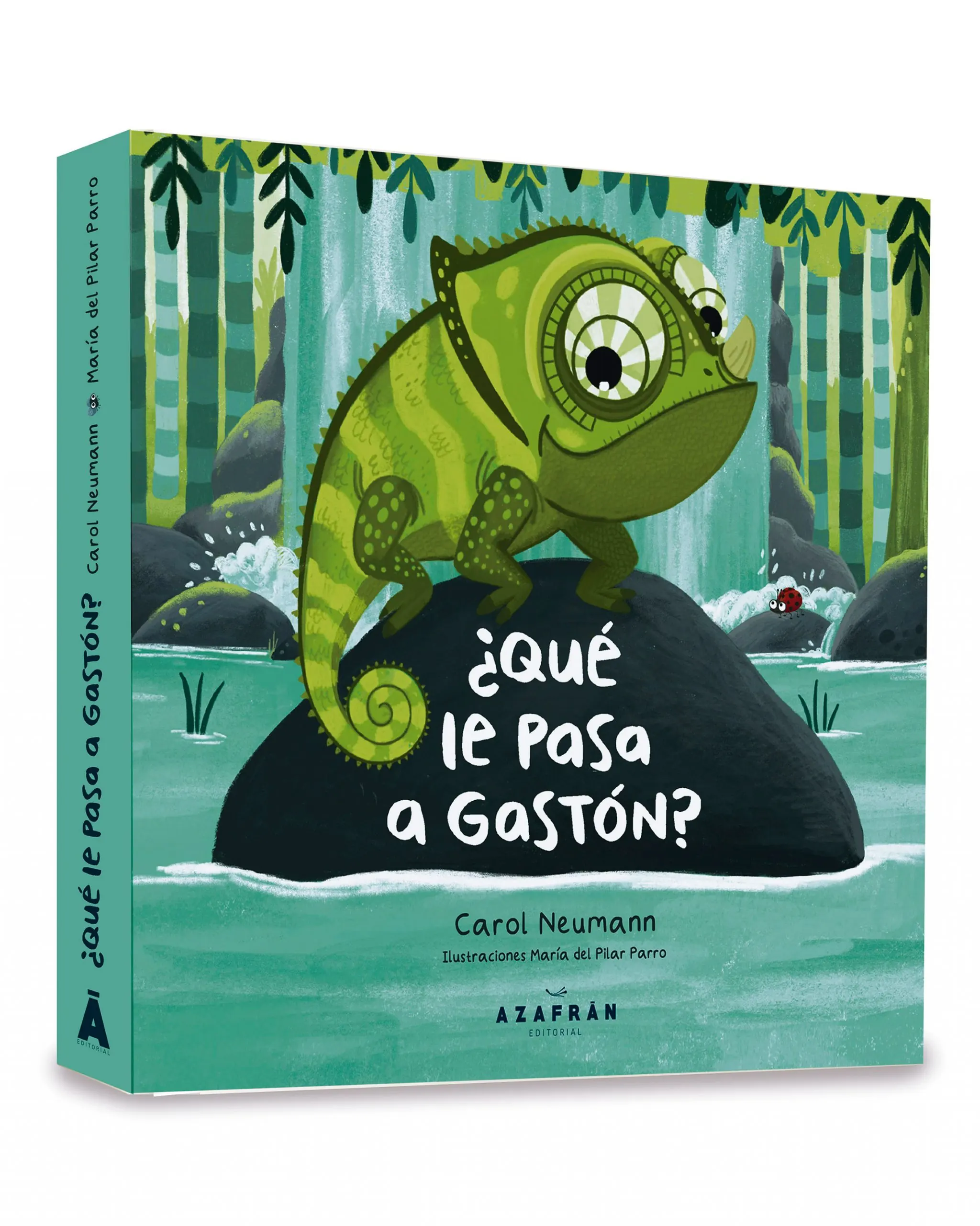 Libro ¿Que le pasa a Gaston?