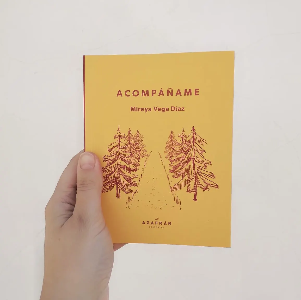 Acompáñame - Imagen 2