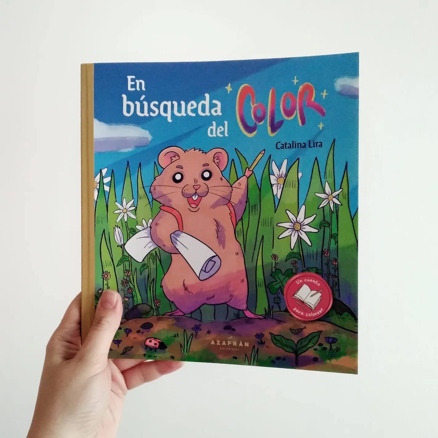 En búsqueda del color - Imagen 5