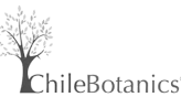 Chile Botanics